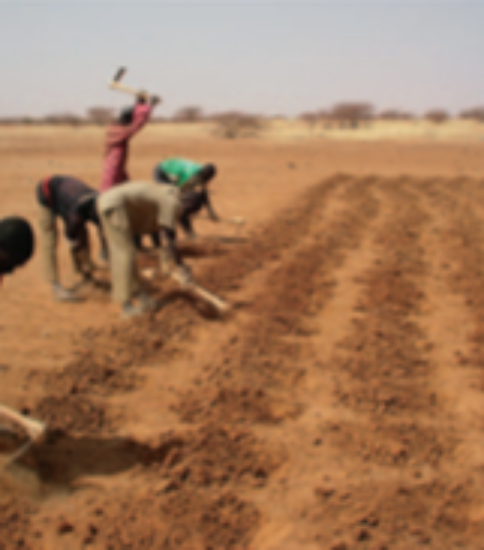 [BURKINA FASO – MoE] TECHNICAL ASSISTANCE OF TRADITIONAL KNOWLEDGE AND LOCAL TECHNOLOGY TRANSFER