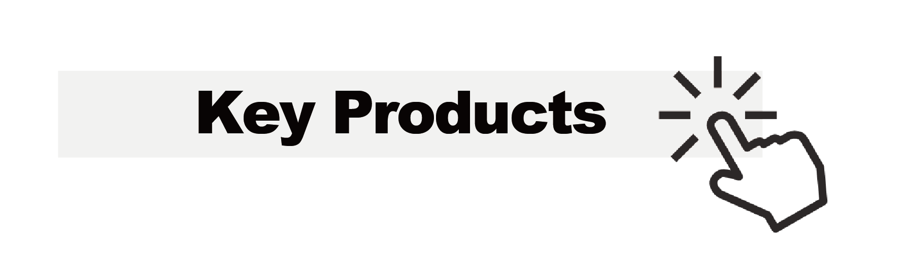 KEY PRODUCTS